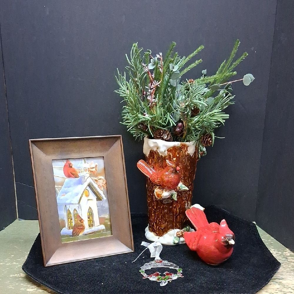 Cardinals To Show Someone Is With‎ You All The Time.